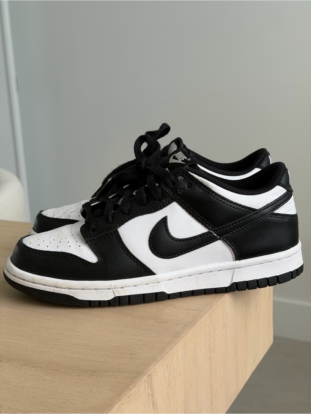 Nike Dunk Low Big Kids' Shoes